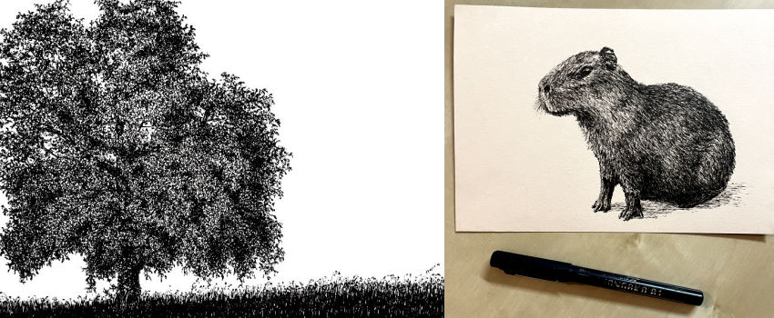 Pen drawings of a walnut tree and a capybara