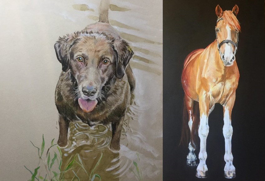 Pet portrait paintings by Caroline Van Wyke