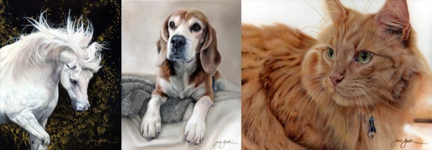 Jane Booth pet portrait paintings