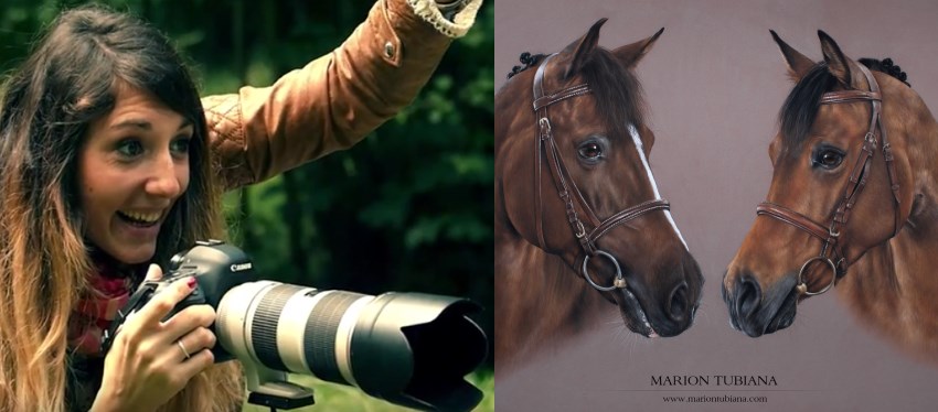 Pet portrait paintings by Marion Tubiana