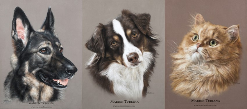 Pet portrait painting by Marion Tubiana
