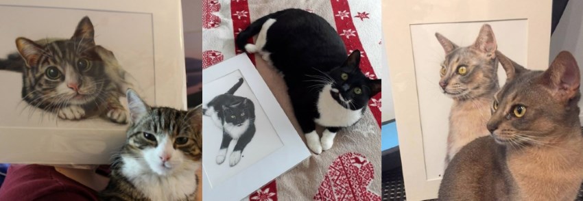 Cat realistic portraits by Sema Martin