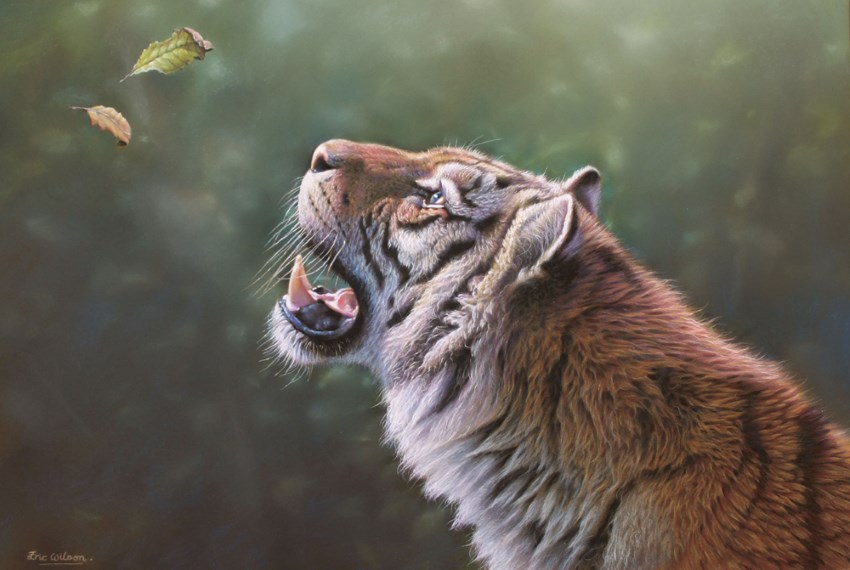 Tiger painting by Eric Wilson