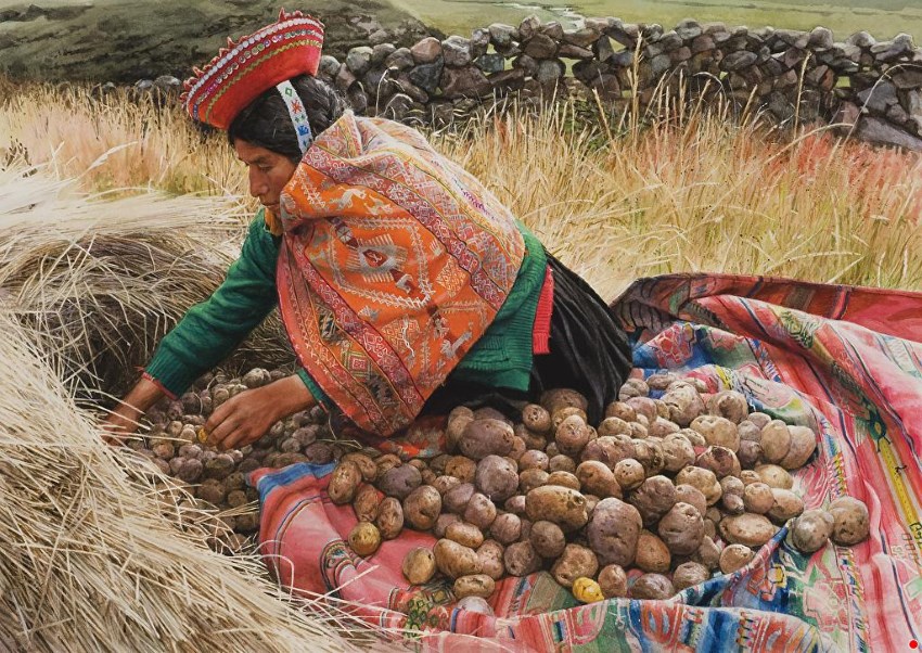 Woman picking potatos painting by Rance Jones
