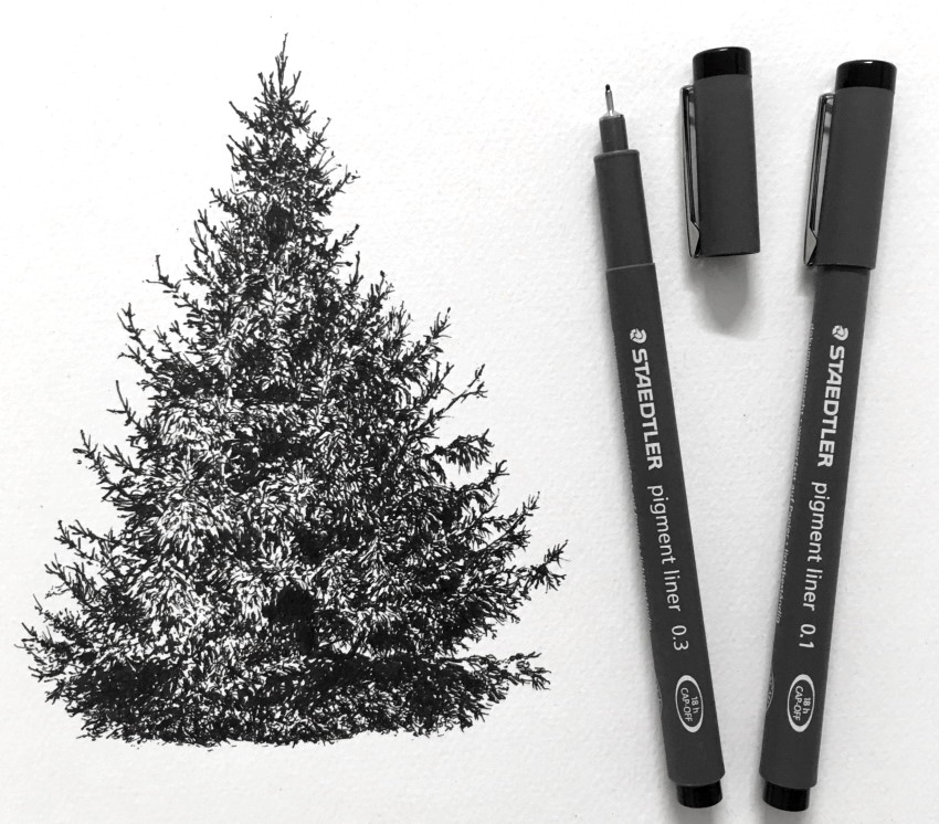 Realistic pine tree pen drawing