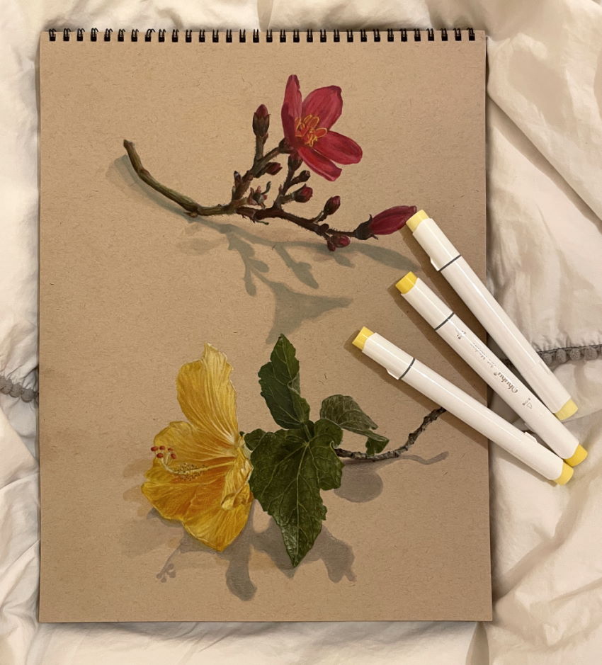 realistic drawing of two flowers with markers and colored pencils