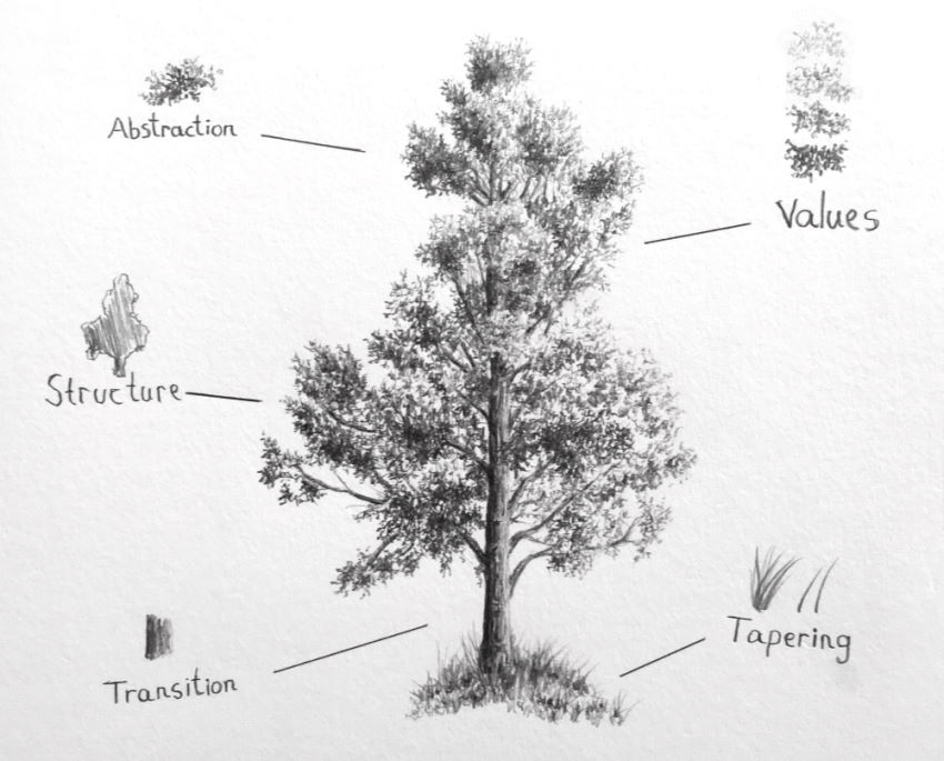 Realistic tree drawing with a mechanical pencil